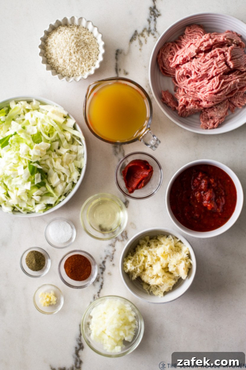 Cabbage Roll Casserole 4 Overhead photo of ingredients for stuffed cabbage casserole