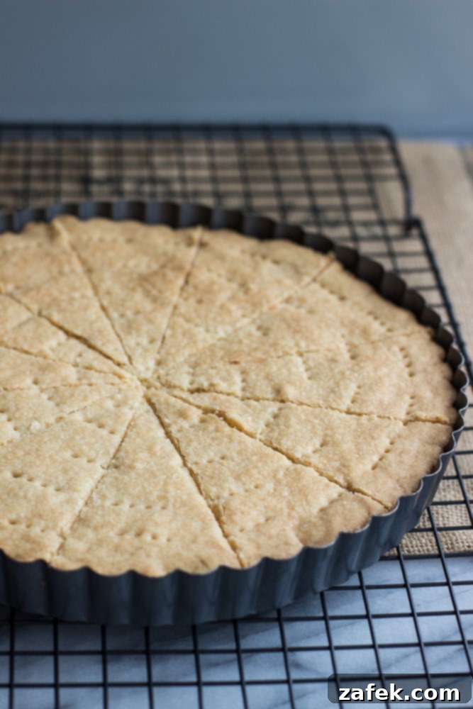 Buttery Shortbread dough pressed into a tart pan before baking