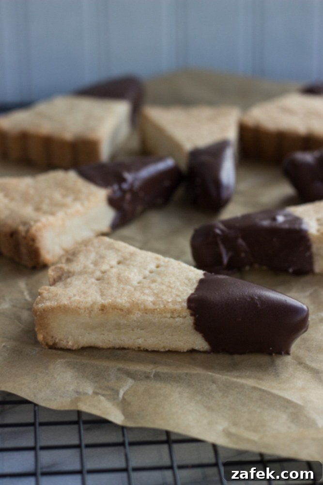 Chocolate-Dipped Shortbread cookies arranged on parchment paper