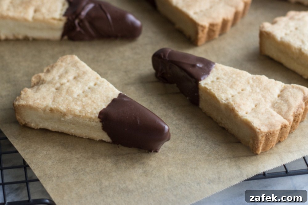 Close-up of a single Chocolate-Dipped Shortbread cookie with a bite taken out
