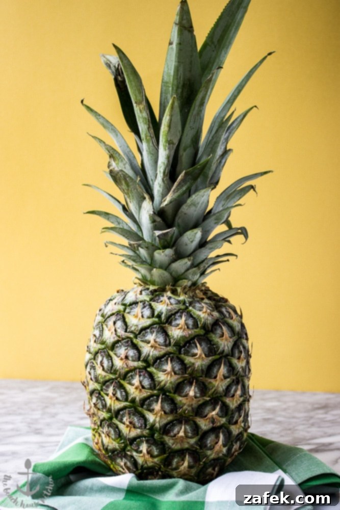 Toasted Coconut Pineapple Chocolate Treats 3 A close-up shot of several chocolate-coated pineapple slices adorned with toasted coconut, showcasing their tempting texture.