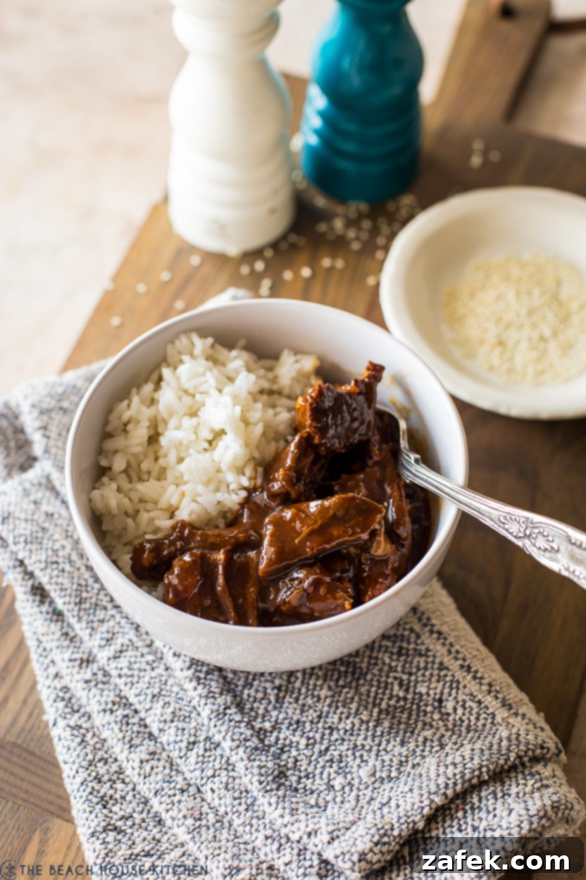 A bowl of pot roast with white rice