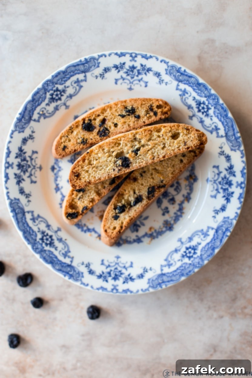 Zesty Blueberry Lemon Biscotti 2 Overhead photo of blueberry lemon biscotti on a blue and white plate