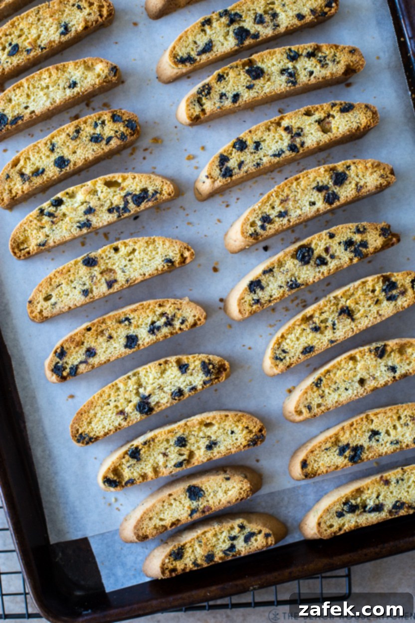 Zesty Blueberry Lemon Biscotti 3 Overhead photo of a baking sheet of blueberry lemon biscotti