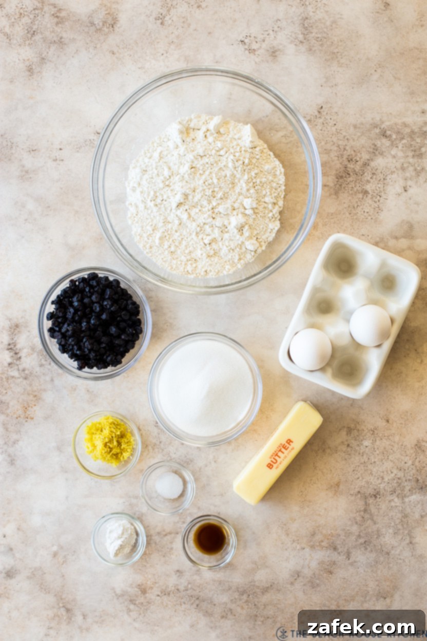 Zesty Blueberry Lemon Biscotti 4 Overhead photo of ingredients for blueberry lemon biscotti