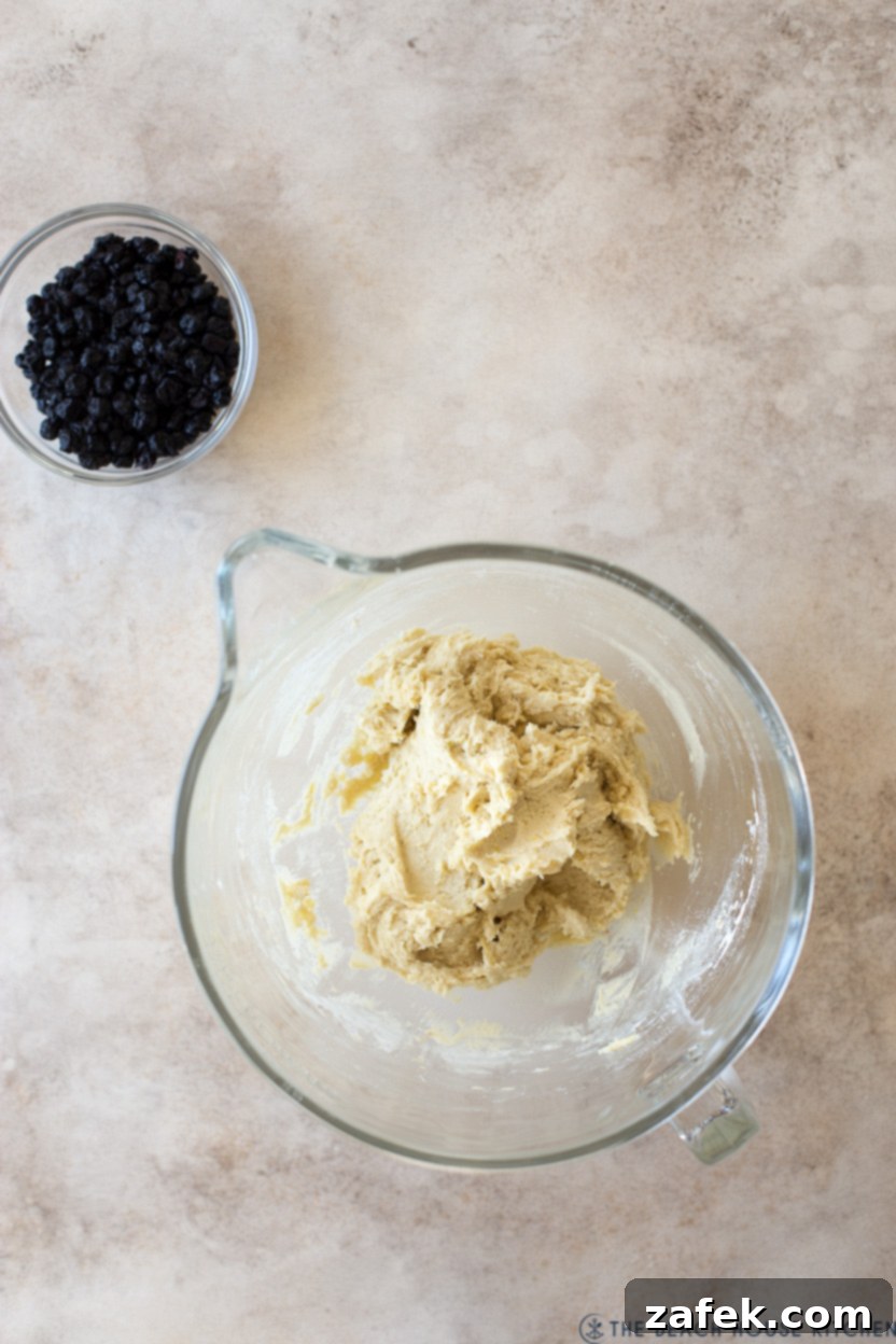 Zesty Blueberry Lemon Biscotti 8 Overhead photo of a glass bowl filled with biscotti dough and a small bowl of dried blueberries