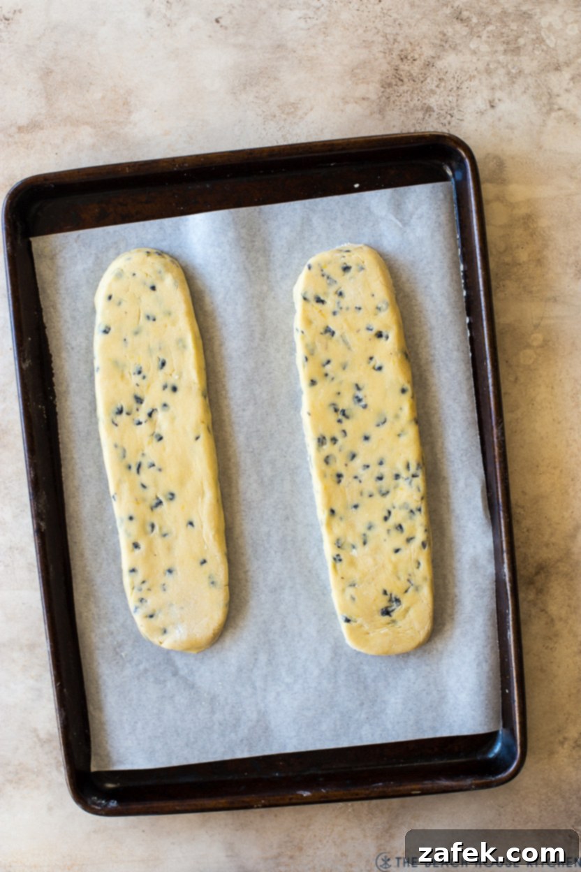 Zesty Blueberry Lemon Biscotti 9 Overhead photo of a baking sheet with two pre-baked blueberry lemon biscotti loaves