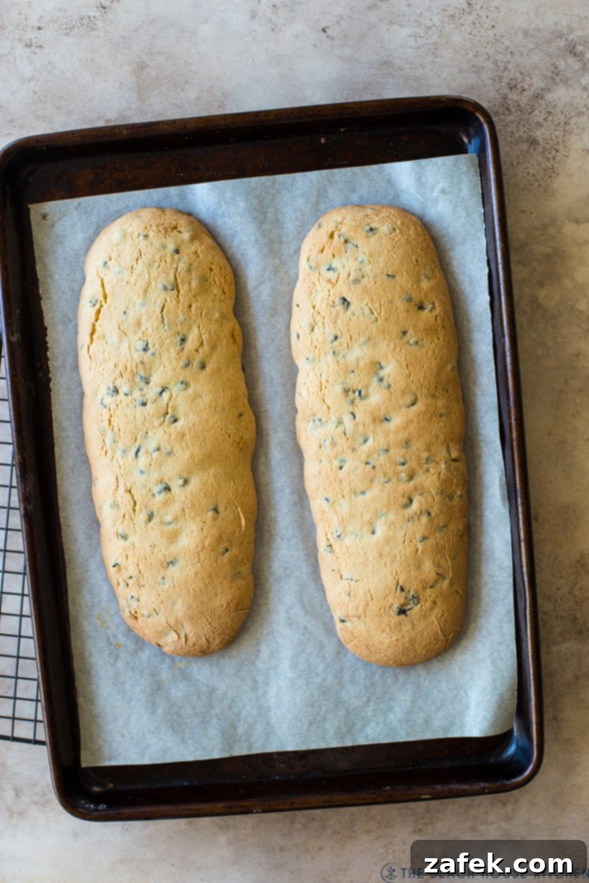 Zesty Blueberry Lemon Biscotti 10 Overhead photo of baked blueberry lemon biscotti loaves