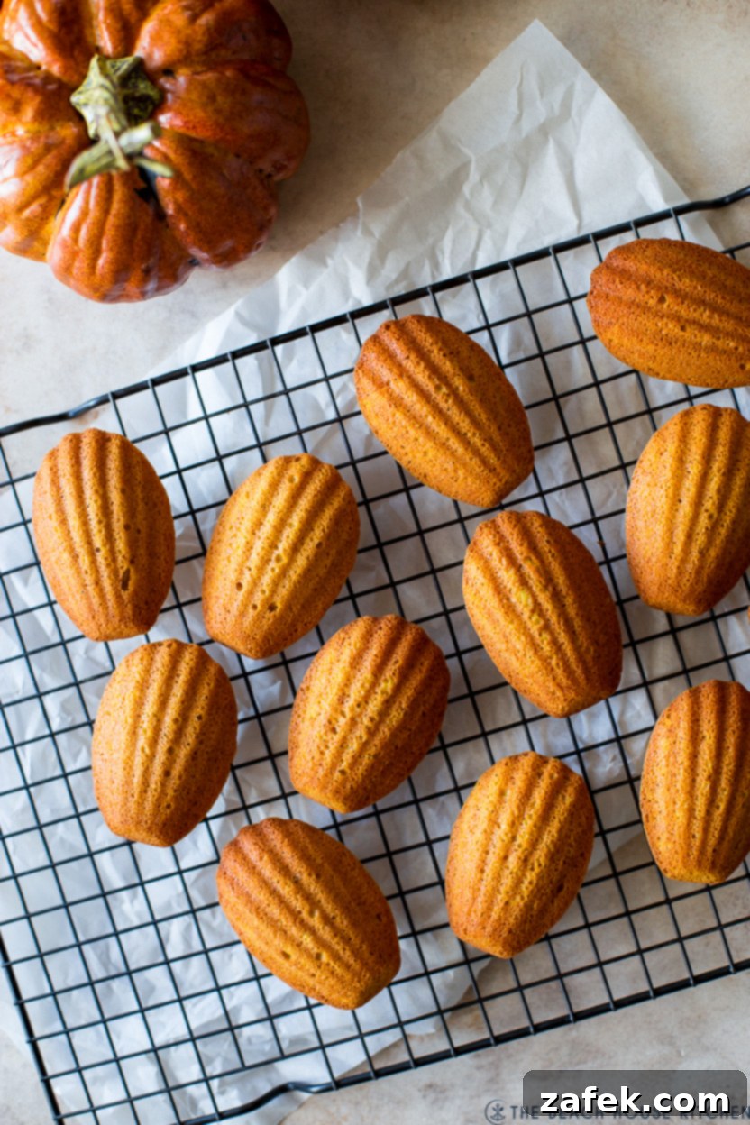 Autumn Spiced Pumpkin Madeleines 3 An overhead close-up shot of golden-brown Pumpkin Madeleines cooling on a black wire rack, with a rustic pumpkin subtly visible in the background, highlighting the autumn theme.