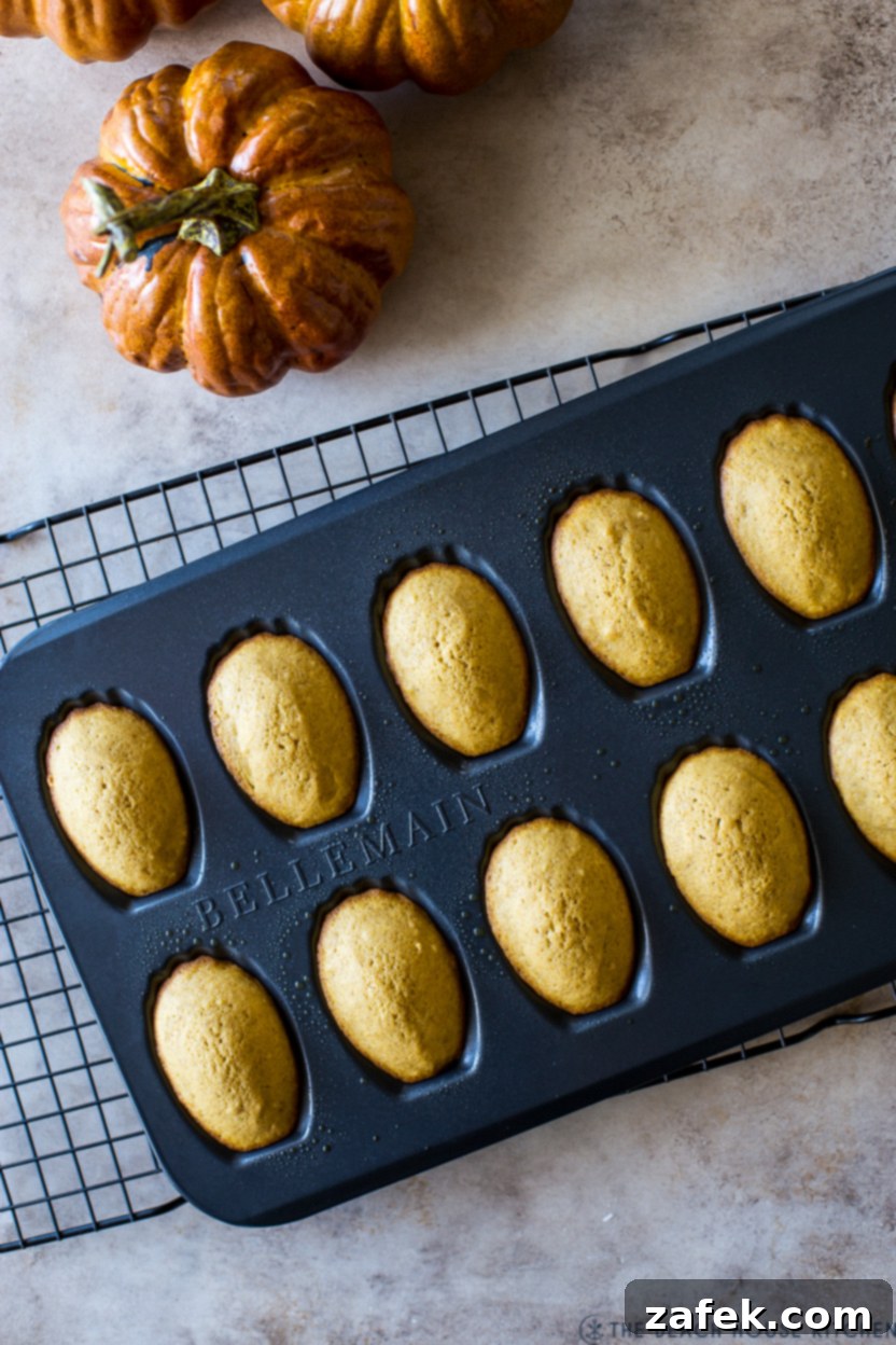 Autumn Spiced Pumpkin Madeleines 9 An overhead shot of a baking tray filled with perfectly golden and puffy Pumpkin Madeleines, freshly baked and ready to be cooled.