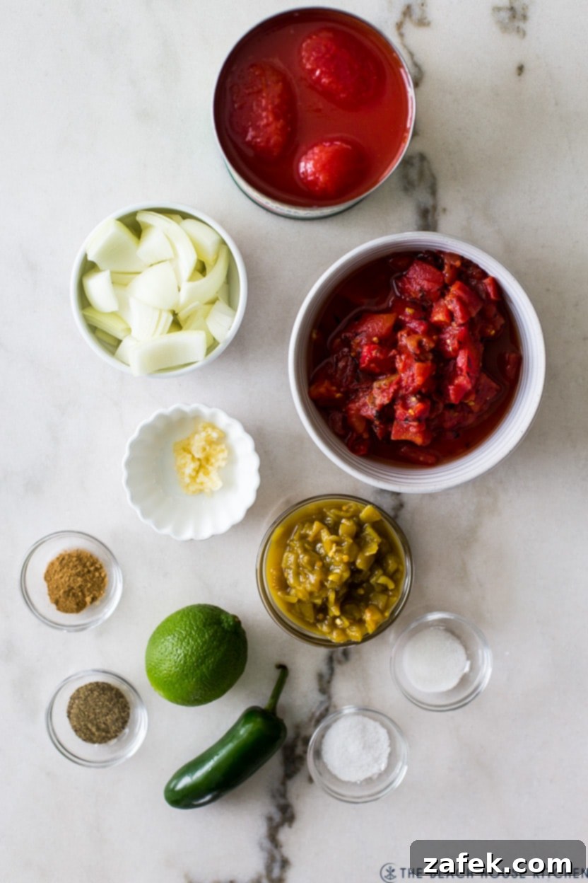 Overhead photo of ingredients for salsa