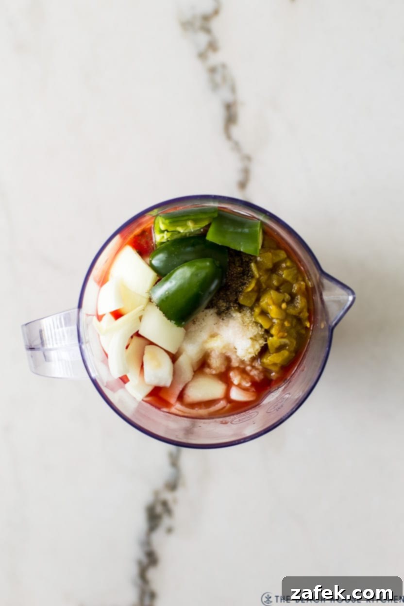 Overhead photo of ingredients for salsa in a blender