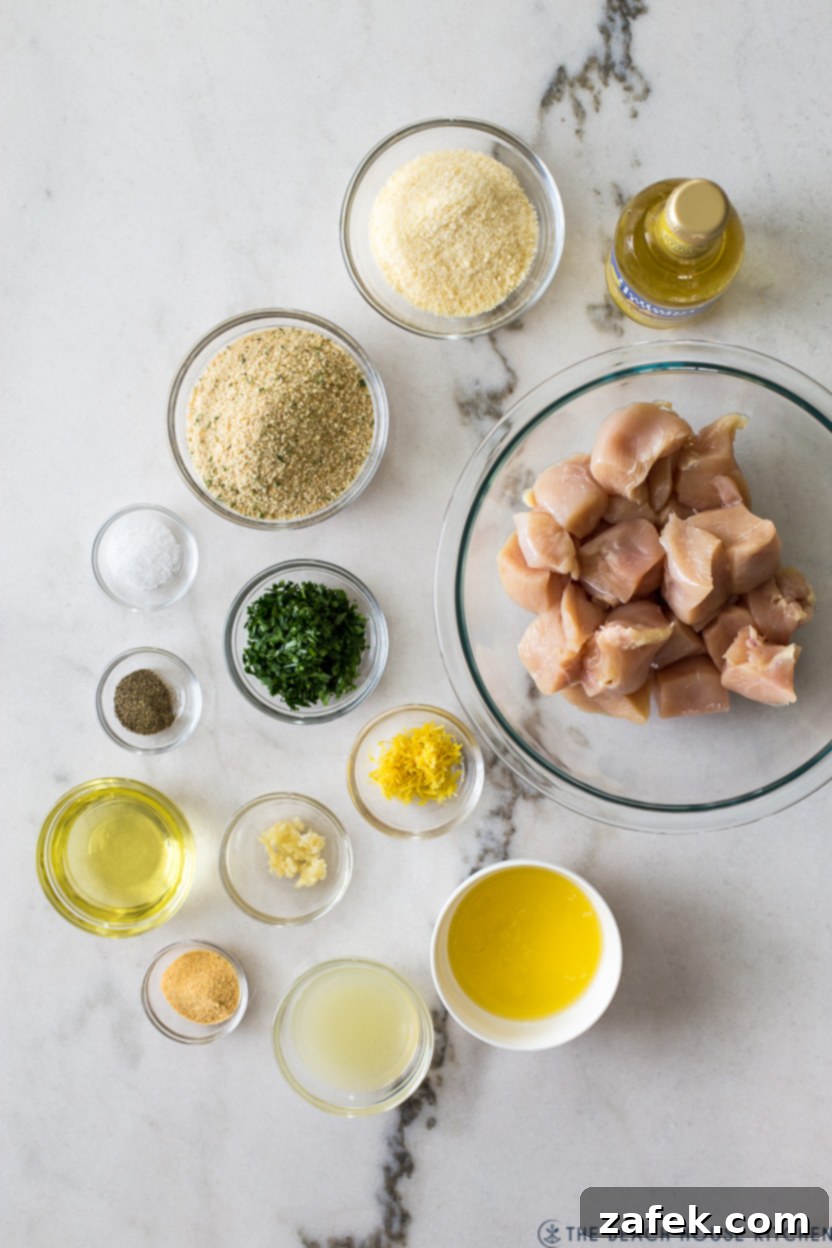 Overhead photo of ingredients for air fryer chicken spiedini