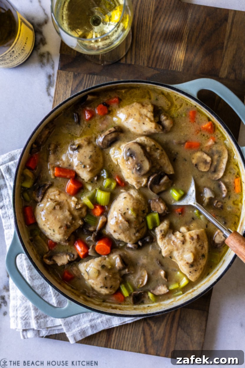 Overhead photo of a finished chicken fricassee dish, garnished with fresh herbs, ready to be served.