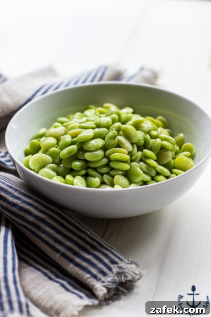 Golden Harvest Succotash 4 Succotash Ingredients Fresh from the Garden
