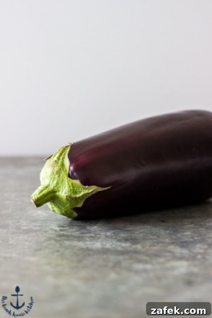 Sweet and Savory Burrata Pasta with Eggplant and Caramelized Onion 4 Freshly cooked Eggplant, Caramelized Onion, Tomato and Burrata Pasta with basil garnish