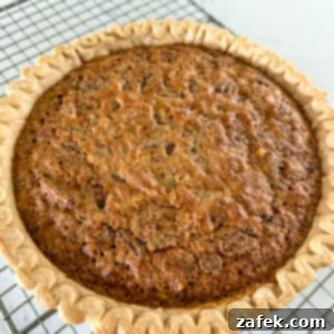 Ultimate Chocolate Chip Delight 9 Chocolate Chip Pie