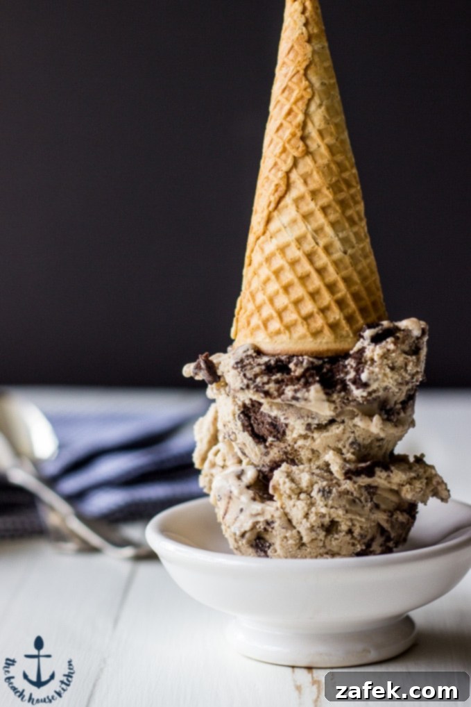 15 Must-Have Summer Essentials 14 BHK Summer Favorites