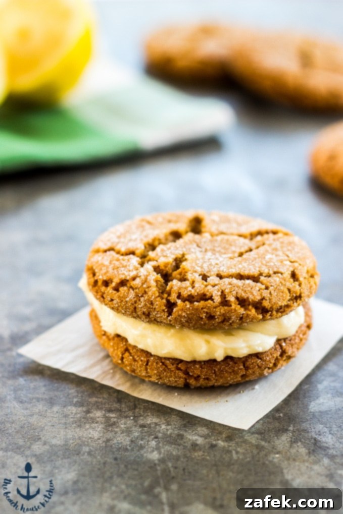 Lemon Gingersnap Sandwich Cookies